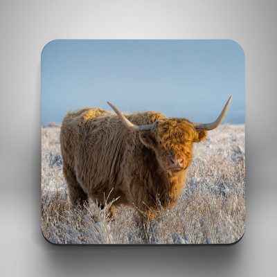 Snowy Highland coaster - 262