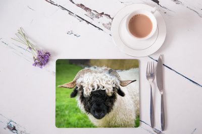 Valais Blacknose sheep "Bramble" placemat - 296
