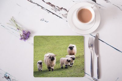 Valais Blacknose sheep family placemat - 319
