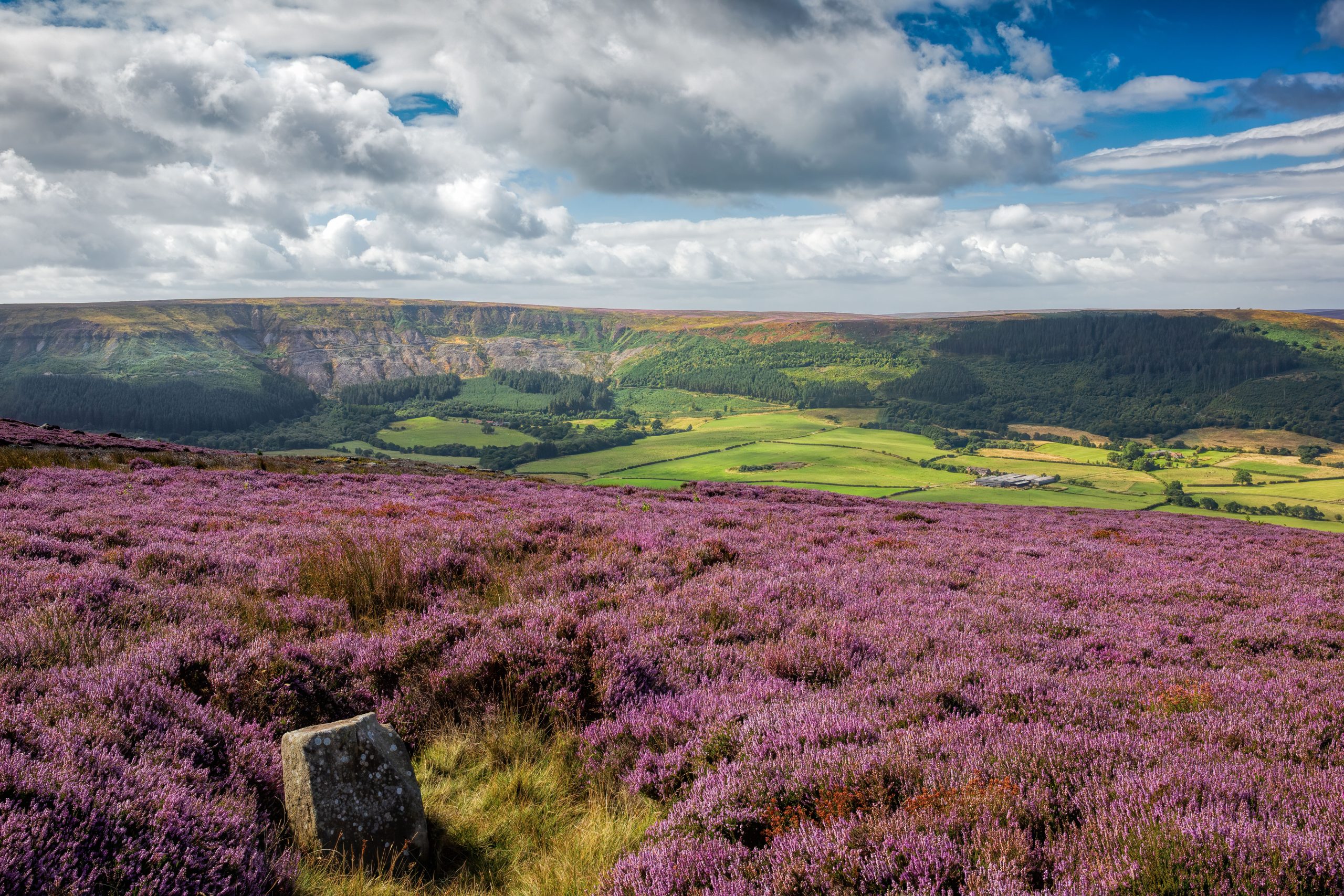 North York Moors Framed Prints Canvas Print Wall Art North York Moors Framed Prints Canvas Print Wall Art