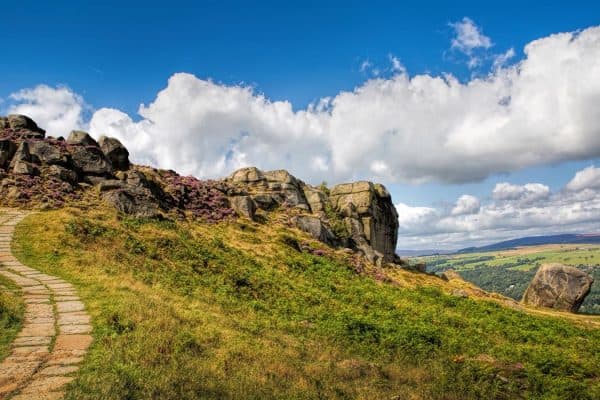 Cow and Calf Rocks on Ilkley Moor with heather and blue sky in West Yorkshire