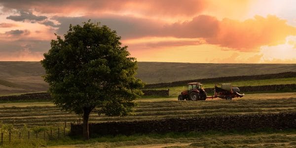 Panoramic photograph of a tractor baling hay in a North Yorkshire field at sunset, with dry stone walls, a large tree and a colourful evening sky.