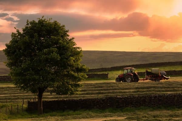 Panoramic photograph of a tractor baling hay in a North Yorkshire field at sunset, with dry stone walls, a large tree and a colourful evening sky.