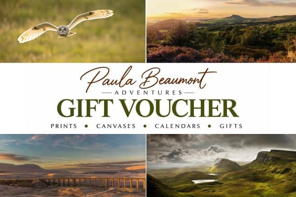 Gift Voucher – Prints, Wall Art & Gifts
